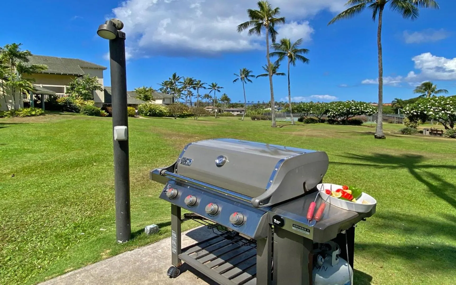 Manualoha 901 Minutes To Poipu Villa Koloa